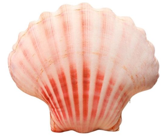 LeanToys Maskotka Pluszowa Muszla Poduszka 50 x 40 cm Мягкие игрушки