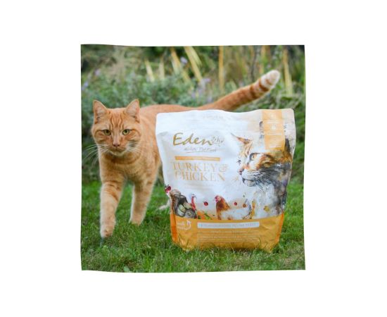 EDEN Turkey & Chicken - dry cat food - 1.5 kg Kaķu sausā barība