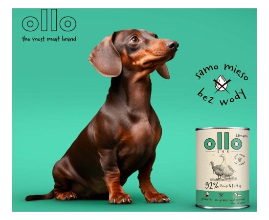 OLLO Umami Goose and turkey - wet dog food - 850g Suņu barība