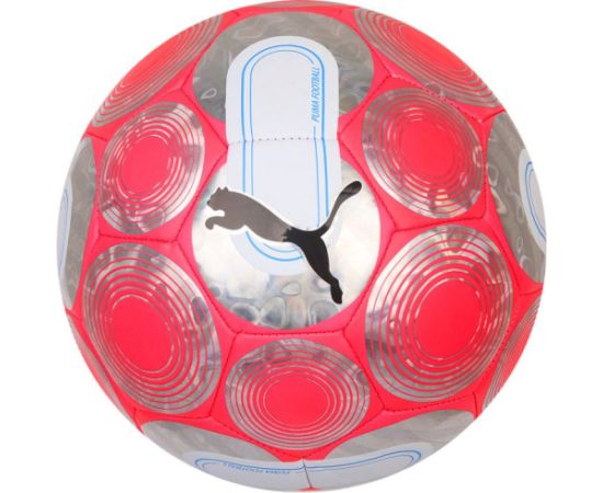 Puma Cage Ball 084074-01 Football (5) Для футбола