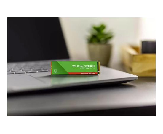 SSD SANDISK 150xTBW rating MTBF 1.75 h NVMe Yes PCI Express 4.0 M.2 1000 GB WDS100T4G1E-00CPS0 SSD Cietie Diski (Solid state drive)