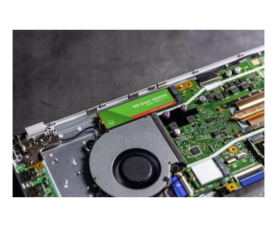 SSD SANDISK 150xTBW rating MTBF 1.75 h NVMe Yes PCI Express 4.0 M.2 1000 GB WDS100T4G1E-00CPS0 SSD Cietie Diski (Solid state drive)