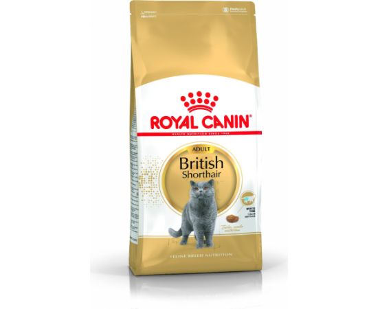 Royal Canin British Shorthair karma sucha dla kotów dorosłych rasy brytyjski krótkowłosy 10kg Kaķu sausā barība