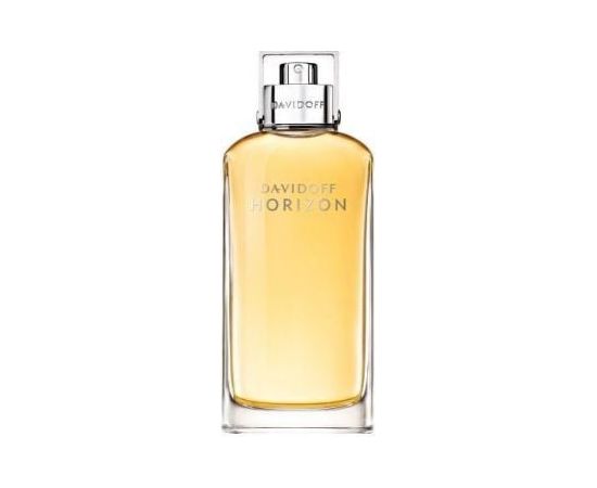 Davidoff Horizon EDT 75 ml Мужская парфюмерия