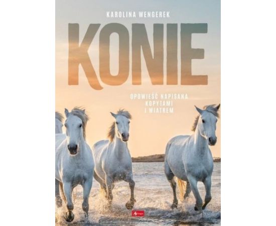 Dragon Konie Figūriņas un varoņi