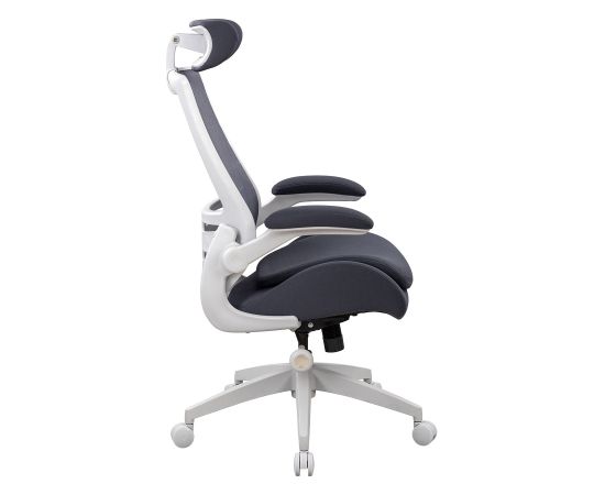 Task chair DANICA dark grey / light grey Jaunumi -Dārzam