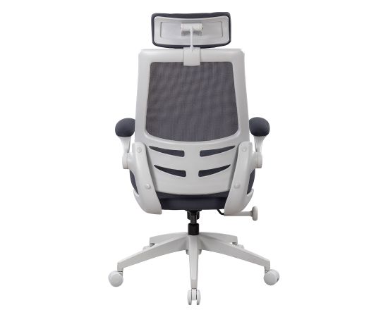 Task chair DANICA dark grey / light grey Jaunumi -Dārzam