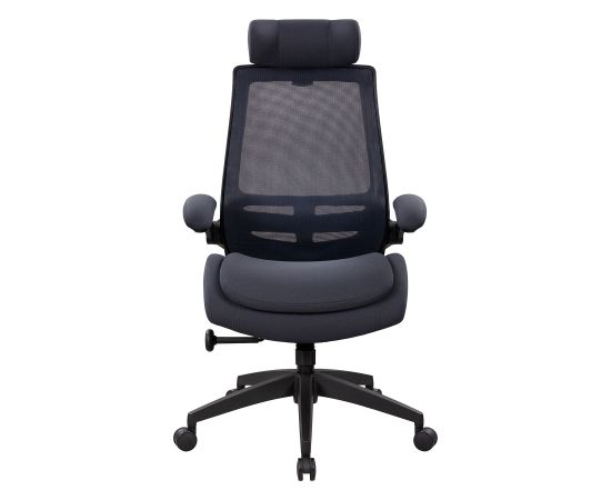 Task chair DANICA dark grey / black Jaunumi -Dārzam