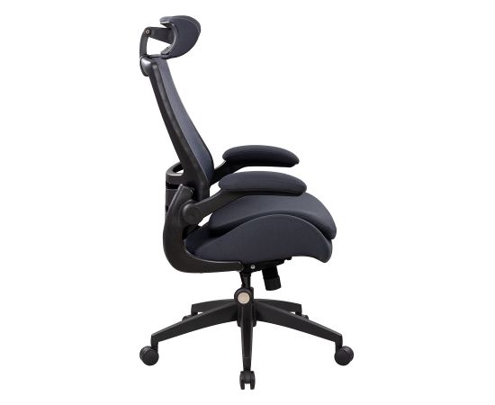 Task chair DANICA dark grey / black Jaunumi -Dārzam