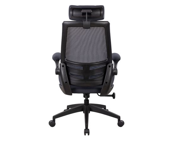 Task chair DANICA dark grey / black Jaunumi -Dārzam