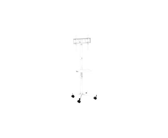TV stiprinājums Gembird 32" - 55" TV floor stand with caster wheels White Крепления для телевизоров