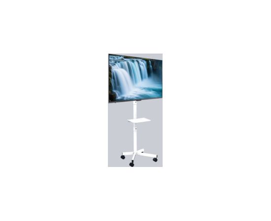 TV stiprinājums Gembird 32" - 55" TV floor stand with caster wheels White Крепления для телевизоров