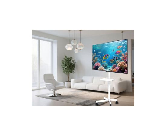 TV stiprinājums Gembird 32" - 55" TV floor stand with caster wheels White Крепления для телевизоров