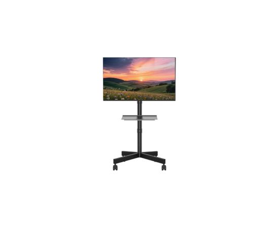 TV stiprinājums Gembird 32" - 55" TV floor stand with caster wheels Крепления для телевизоров