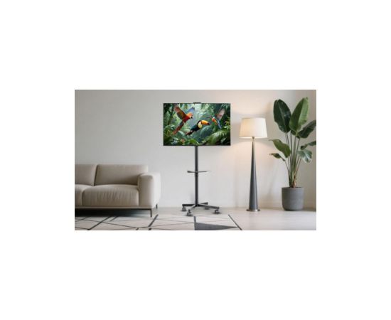 TV stiprinājums Gembird 32" - 55" TV floor stand with caster wheels Крепления для телевизоров