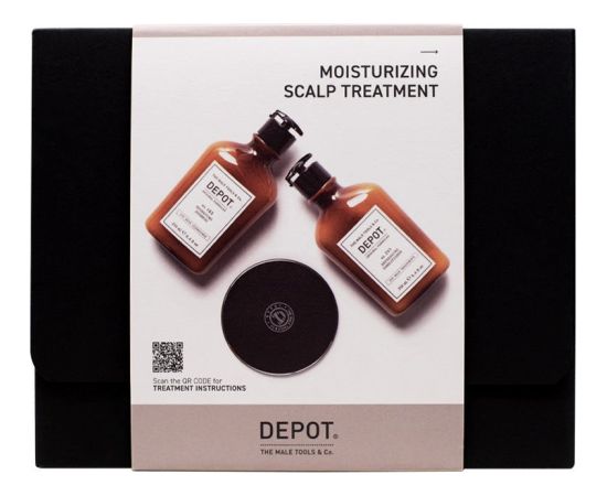 Consumer Kit E Set Depot: 100 Hair Cleansing No. 103, Pro-Vitamin B5, Hair Shampoo, For Hydration, 250 ml + 200 Hair Treatments No. 201, Botanical Complex, Hair Conditioner, For Revitalizing, 250 ml For Men Dāvanu komplekti