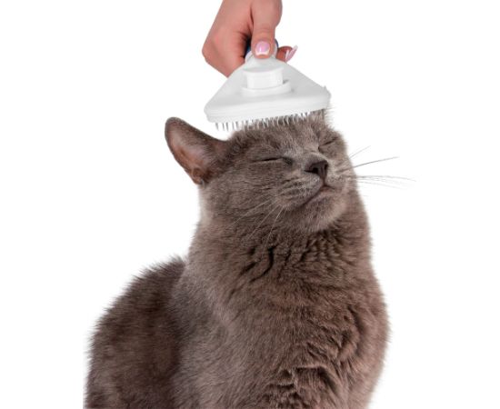 Расческа для кошек Springos PA0264 Citas preces