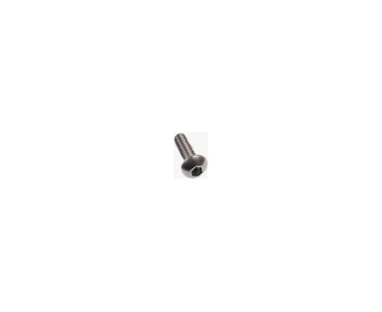 Bolt .3118X1.00 ZCC, Ariens Company Zāles pļāvēji