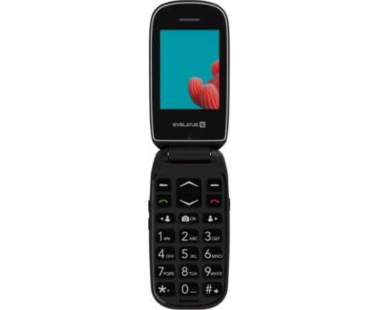 Evelatus   WAVE 2020 DS EW02RD Maroon Red Mobilie telefoni