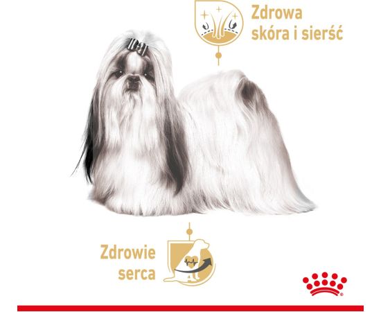 ROYAL CANIN Shih Tzu Adult Wet dog food Pâté 12x85 g Suņu barība