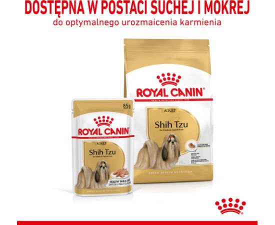 ROYAL CANIN Shih Tzu Adult Wet dog food Pâté 12x85 g Suņu barība
