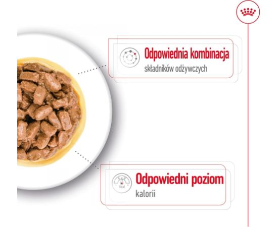 ROYAL CANIN Mini Ageing - wet dog food - 12 x 85g Suņu barība
