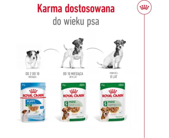 ROYAL CANIN Mini Ageing - wet dog food - 12 x 85g Suņu barība
