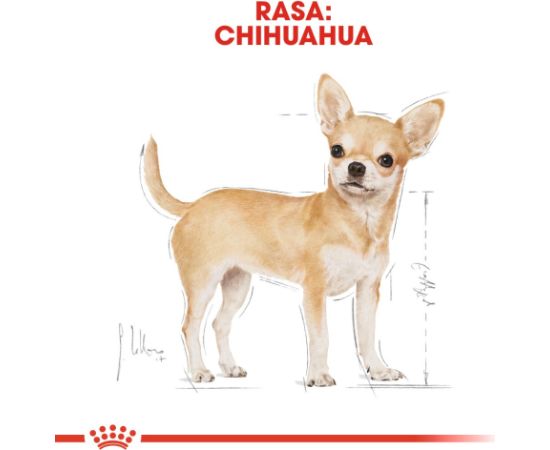 ROYAL CANIN Chihuahua - pack 12x85g Suņu barība