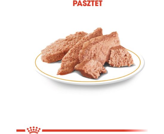 ROYAL CANIN Chihuahua - pack 12x85g Suņu barība