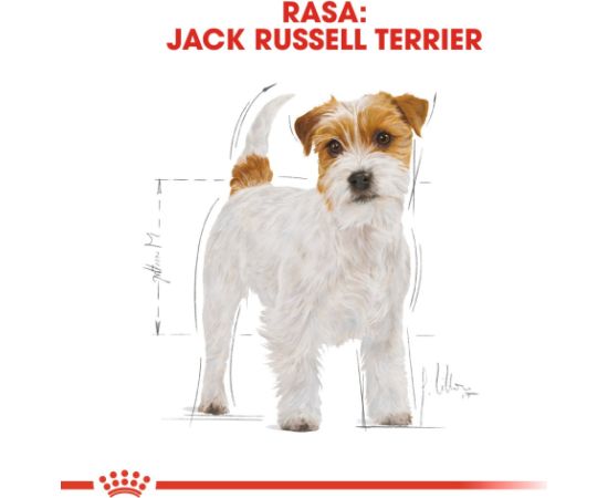 ROYAL CANIN Jack Russell Adult - Dry dog food - 7.5 kg Suņu barība