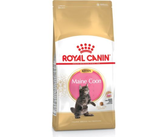 ROYAL CANIN Maine coon FBN Kitten - dry cat food - 400g Kaķu sausā barība