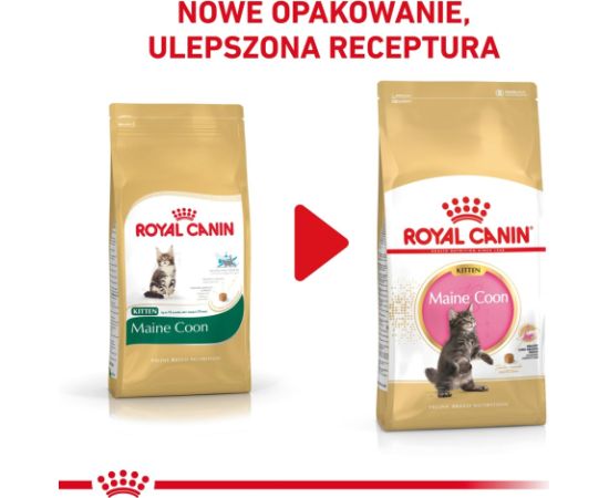 ROYAL CANIN Maine coon FBN Kitten - dry cat food - 400g Kaķu sausā barība