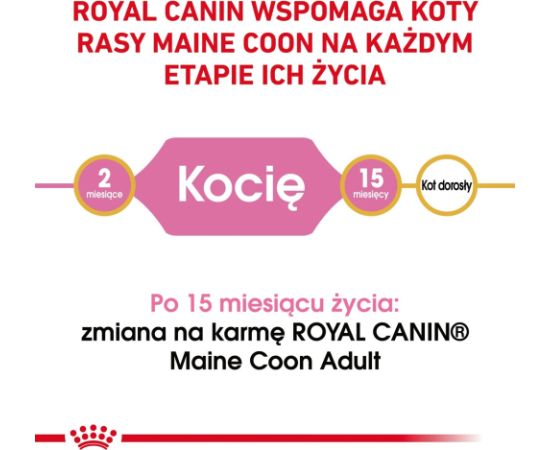ROYAL CANIN Maine coon FBN Kitten - dry cat food - 400g Kaķu sausā barība