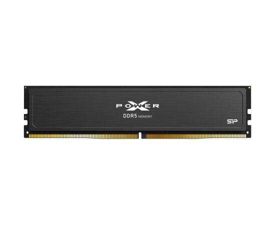 Silicon Power XPOWER Pulse Gaming memory module 32 GB 1 x 32 GB DDR5 6000 MHz ECC (SP032GXLWU60AFSJ) Оперативная память (RAM)