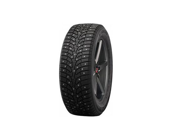 205/55R16 NANKANG SW-9 94TXL ar radzēm Зимние покрышки