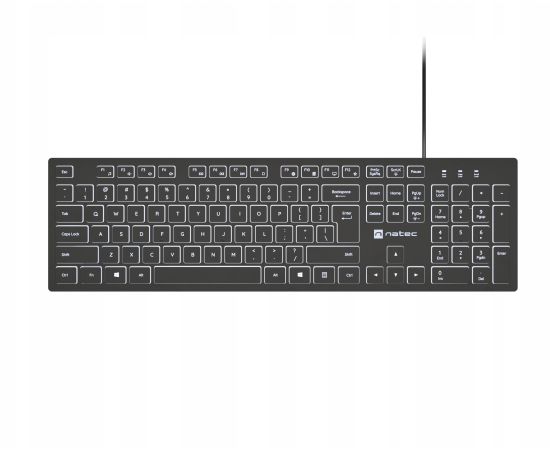 Natec Keyboard, Herring Glow, US, Backlit, Wired, White Natec Клавиатуры
