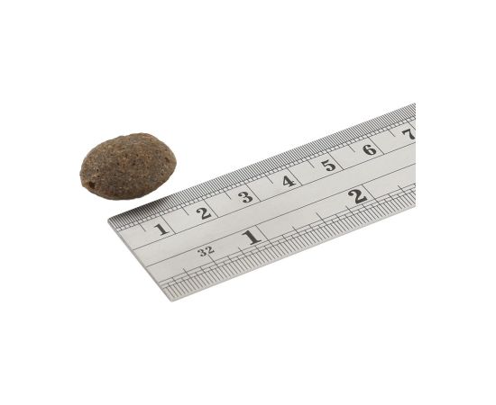 Fish4Dogs Finest Salmon Adult 12kg Suņu barība