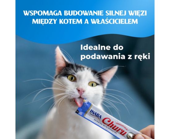 INABA CAT CHURU 80P CHICKEN RECIPE 80x14g Консервы кошек