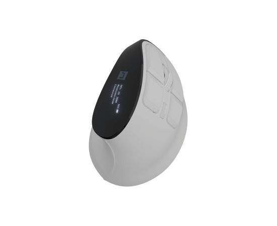 Natec Mouse Euphonie Pro Wireless 2.4 GHz, Bluetooth White Peles, ievadierīces