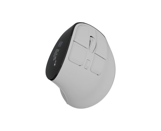 Natec Mouse Euphonie Pro Wireless 2.4 GHz, Bluetooth White Peles, ievadierīces