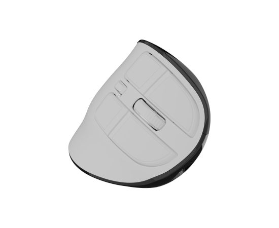Natec Mouse Euphonie Pro Wireless 2.4 GHz, Bluetooth White Peles, ievadierīces