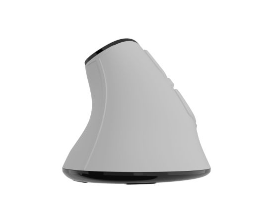 Natec Mouse Euphonie Pro Wireless 2.4 GHz, Bluetooth White Peles, ievadierīces