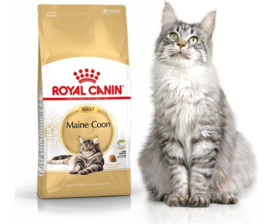 Royal Canin Maine Coon Adult karma sucha dla kotów dorosłych rasy maine coon 0.4kg Kaķu sausā barība