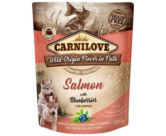 Carnilove Brit Carnilove Salmon Blueberries Łosoś Jagody Bezzbożowa dla Szczeniąt 300 g Suņu barība