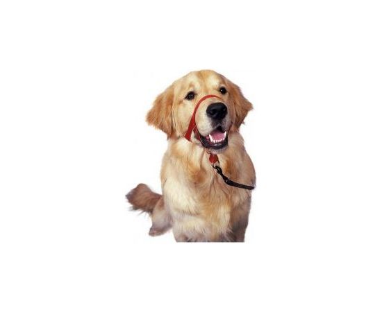 Halti Kantarek - obroża uzdowa rozmiar 3 czerwona Citas preces