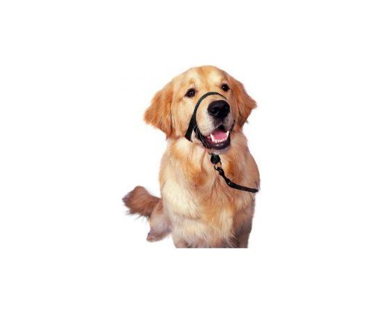 Halti Kantarek - obroża uzdowa rozmiar 1 czarna Citas preces