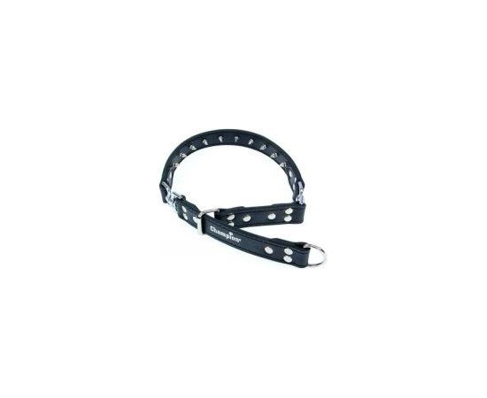 Champion Obroża Skórzana 60-75/3.0 Citas preces