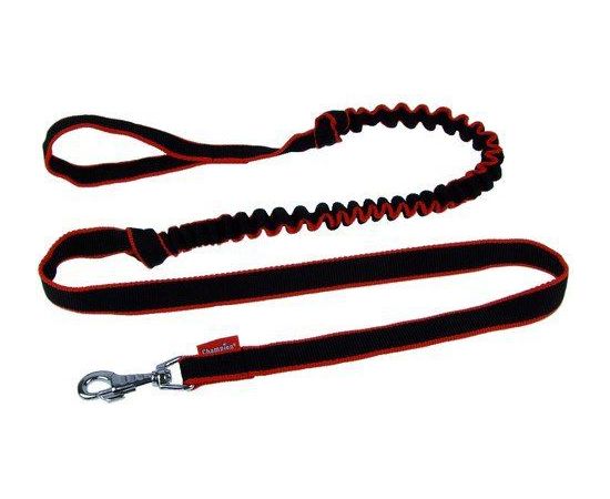 Champion Smycz taśma amortyzowana 2,5 TSA Citas preces