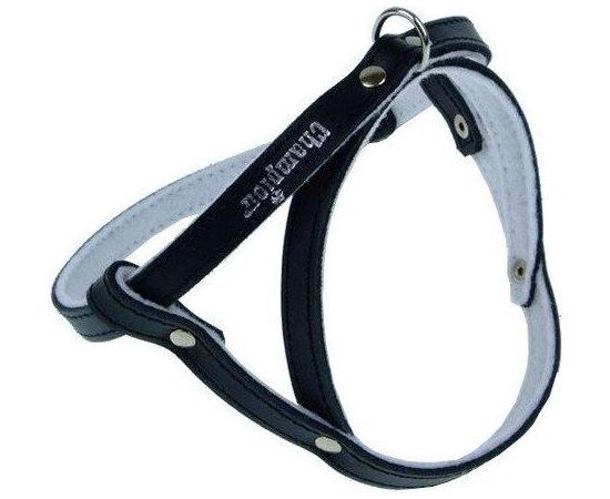 Champion Szelki 50 czarne SD Citas preces