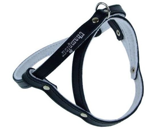 Champion Szelki 40 czarne SD Citas preces